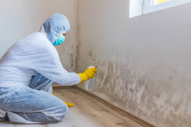 Licensed Mold Inspection And Testing service in Henderson, NC - 24 Hour Mold Removal