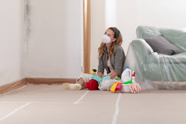 Reliable Mold Inspection And Testing contractor in Henderson, NC by 24 Hour Mold Removal