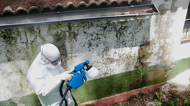 Top rated local Mold Inspection And Testing specialists in Henderson, NC